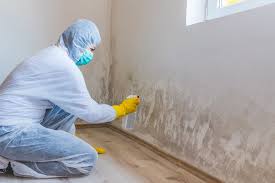 Mold Remediation for Vacation Homes in Lavalette, WV